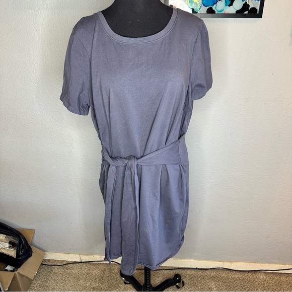 Terra & Sky Dress | Tunic | 1X - Picture 3 of 9